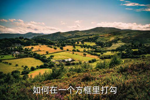 如何在一個方框里打勾