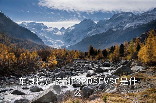 車身穩(wěn)定控制ESPDSCVSC是什么