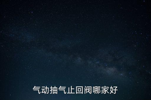氣動(dòng)抽氣止回閥哪家好
