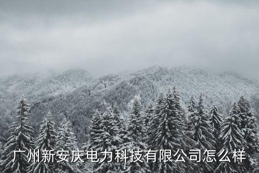 廣州新安慶電力科技有限公司怎么樣