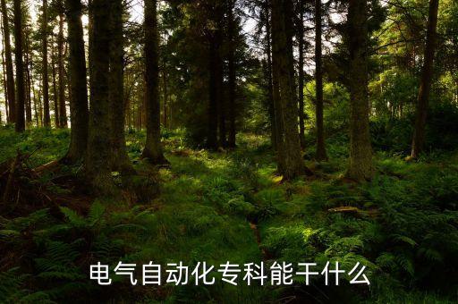 電氣自動化專業(yè)大專找工作,電氣自動化專科生能做什么工作?