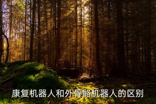 康復(fù)機(jī)器人和外骨骼機(jī)器人的區(qū)別