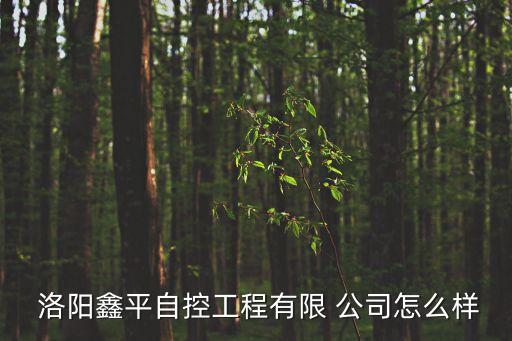  洛陽鑫平自控工程有限 公司怎么樣