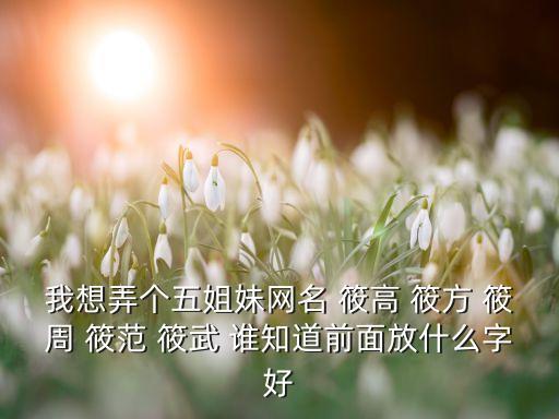 我想弄個(gè)五姐妹網(wǎng)名 筱高 筱方 筱周 筱范 筱武 誰知道前面放什么字好
