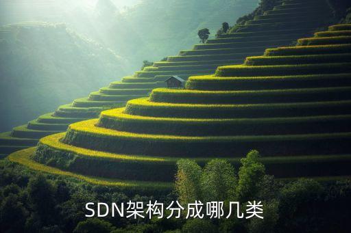 sdn控制器，sdn控制器主要使用什么協(xié)議作為鏈路發(fā)現(xiàn)協(xié)議