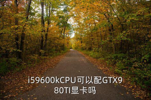 i59600k，i59600kCPU可以配GTX980TI顯卡嗎