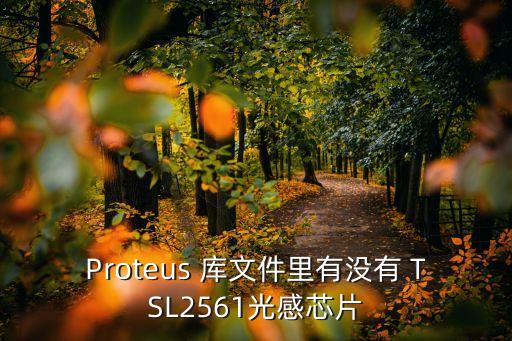 tsl2561，請問您用過TSL2561嗎它體積太小了怎么將它焊在電路板上