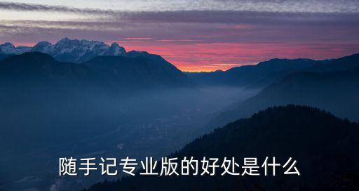 隨手記專業(yè)版的好處是什么