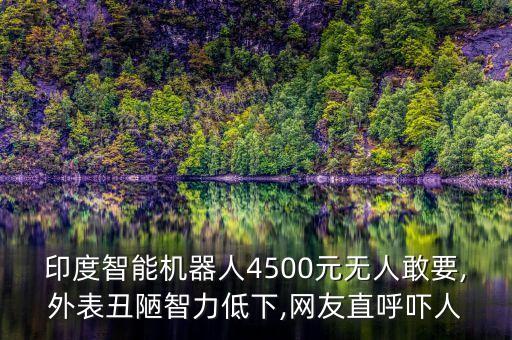 印度智能機器人4500元無人敢要,外表丑陋智力低下,網(wǎng)友直呼嚇人
