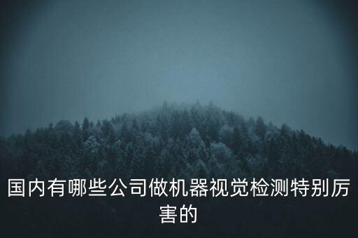 國內(nèi)有哪些公司做機(jī)器視覺檢測特別厲害的