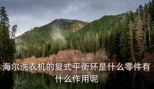 海爾洗衣機的復式平衡環(huán)是什么零件有什么作用呢