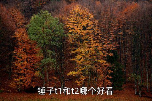 錘子t1和t2哪個(gè)好看