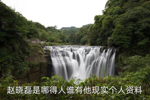 趙曉磊是哪得人誰(shuí)有他現(xiàn)實(shí)個(gè)人資料