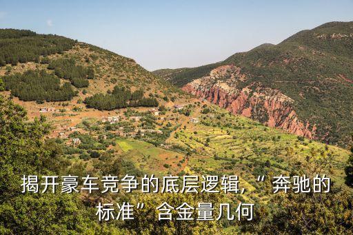 奔馳車都是機(jī)器自動(dòng)化