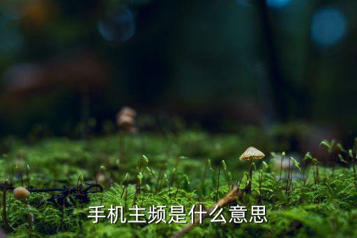手機(jī)主頻是什么意思