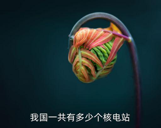 我國一共有多少個核電站