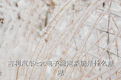 電子車身穩(wěn)定系統(tǒng)，汽車電子穩(wěn)定控制系統(tǒng)是什么回事
