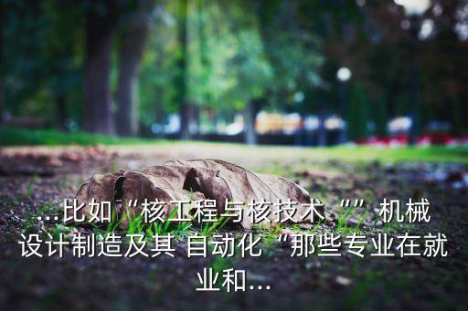 ...比如“核工程與核技術(shù)“”機(jī)械設(shè)計(jì)制造及其 自動(dòng)化“那些專業(yè)在就業(yè)和...