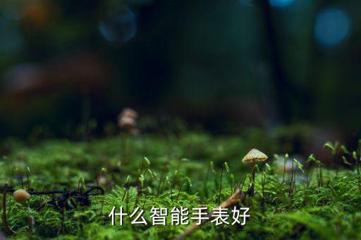 什么智能手表好