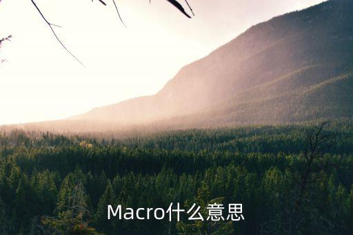 macro，英語MACRO是什么意思啊