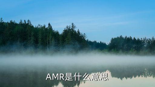 AMR是什么意思