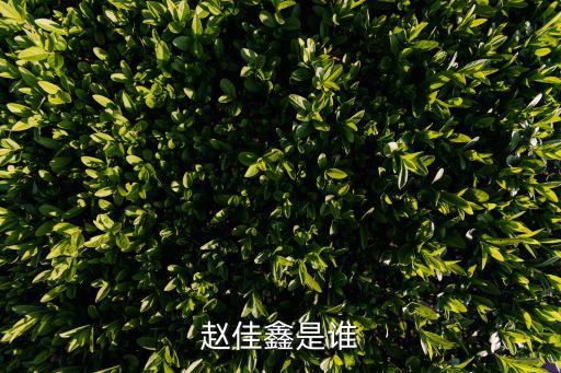 趙佳鑫，趙佳鑫是誰
