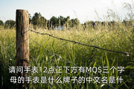 請問手表12點(diǎn)正下方有MQS三個字母的手表是什么牌子的中文名是什