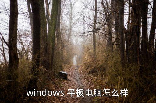 windows 平板電腦怎么樣