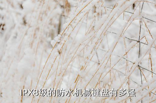IPX8級的防水機械鍵盤有多強