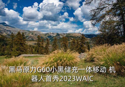 小g機(jī)器人,小G機(jī)器人唱歌