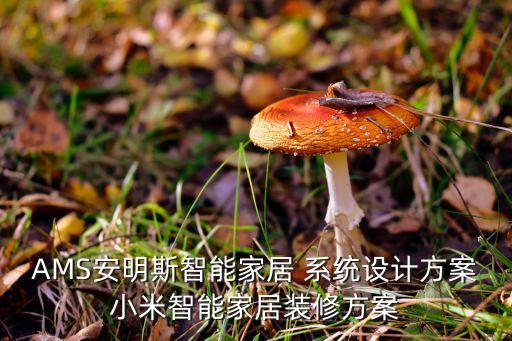 AMS安明斯智能家居 系統(tǒng)設(shè)計方案小米智能家居裝修方案