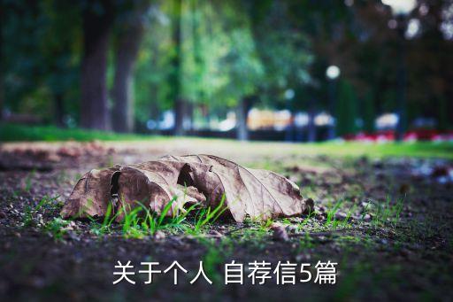 關(guān)于個(gè)人 自薦信5篇