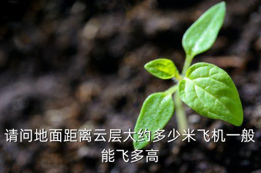 請(qǐng)問地面距離云層大約多少米飛機(jī)一般能飛多高