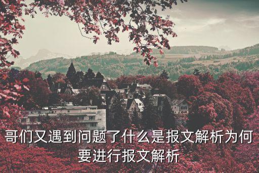 報文解析，哥們又遇到問題了什么是報文解析為何要進(jìn)行報文解析