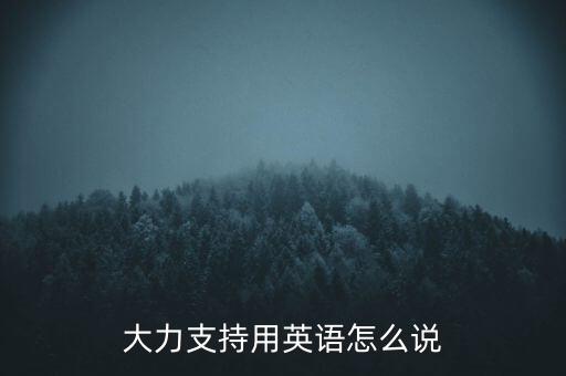 大力支持用英語怎么說