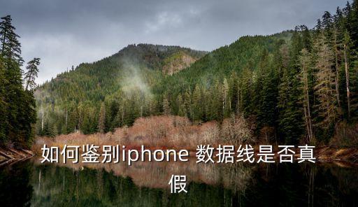 如何鑒別iphone 數(shù)據(jù)線是否真假