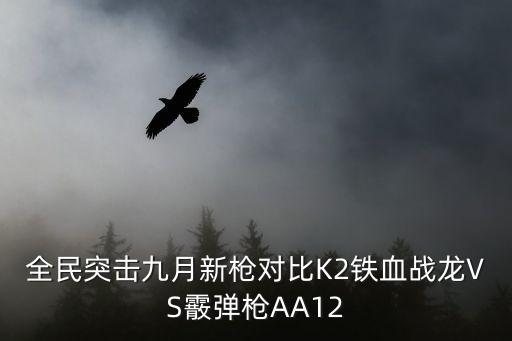 全民突擊九月新槍對比K2鐵血戰(zhàn)龍VS霰彈槍AA12