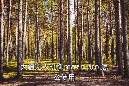 御pro，大疆的精靈4pro 和御pro 哪個好