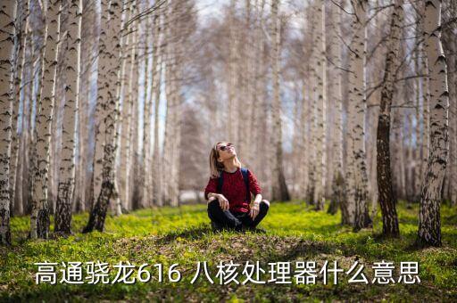 高通驍龍616 八核處理器什么意思
