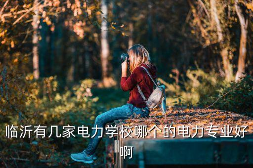 臨沂有幾家電力學(xué)校哪個(gè)的電力專業(yè)好啊