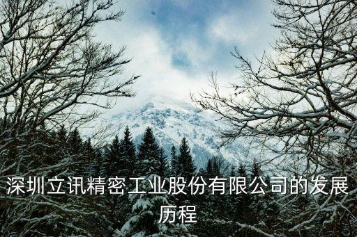 立訊精密創(chuàng)始人，深圳立訊精密工業(yè)股份有限公司的發(fā)展歷程