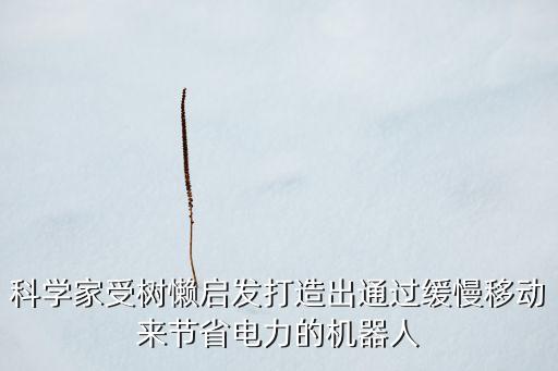 電力施工機(jī)器人,機(jī)器人工程可以考國(guó)家電網(wǎng)嗎?