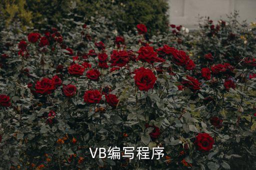 VB編寫(xiě)程序
