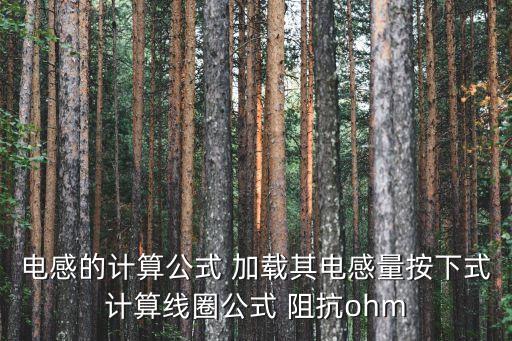 電感的計算公式 加載其電感量按下式計算線圈公式 阻抗ohm