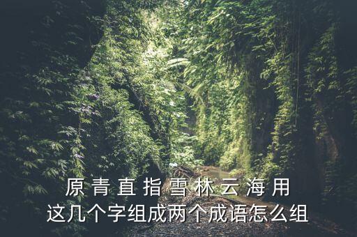 原 青 直 指 雪 林 云 海 用這幾個字組成兩個成語怎么組