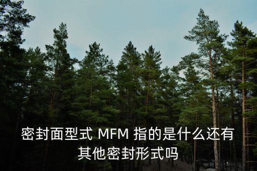 密封面型式 MFM 指的是什么還有其他密封形式嗎