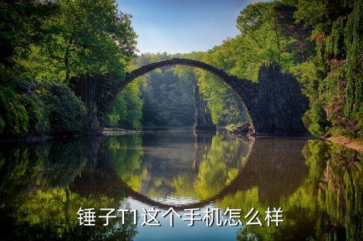 錘子手機(jī)t1，錘子T1什么處理器