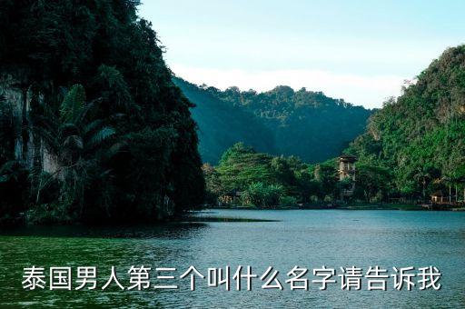 林云海，原 青 直 指 雪 林 云 海 用這幾個(gè)字組成兩個(gè)成語(yǔ)怎么組