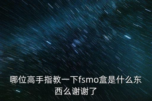 哪位高手指教一下fsmo盒是什么東西么謝謝了