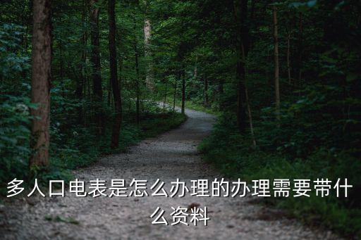 多人口電表是怎么辦理的辦理需要帶什么資料